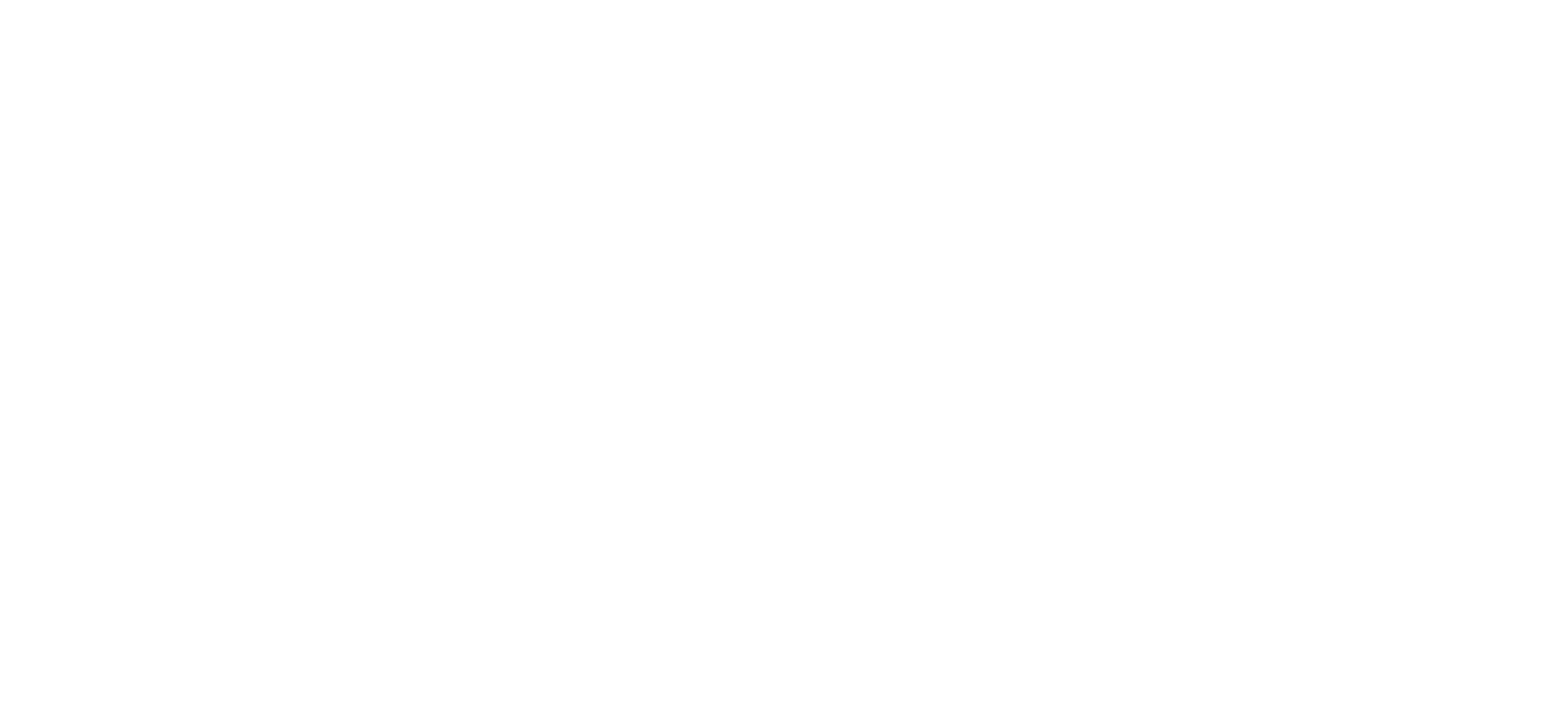 9THIN — direct-to-consumer agency wordmark